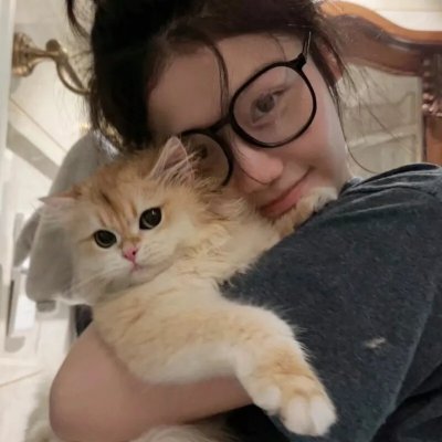 猪法奇缘
